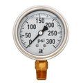 Totalturf 0  300 PSI Low Pressure Gauge TO146598